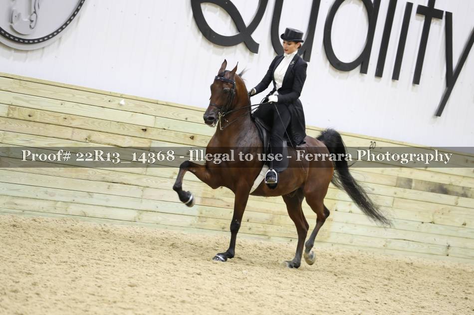 Proof 22R13_14368