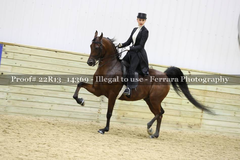 Proof 22R13_14369