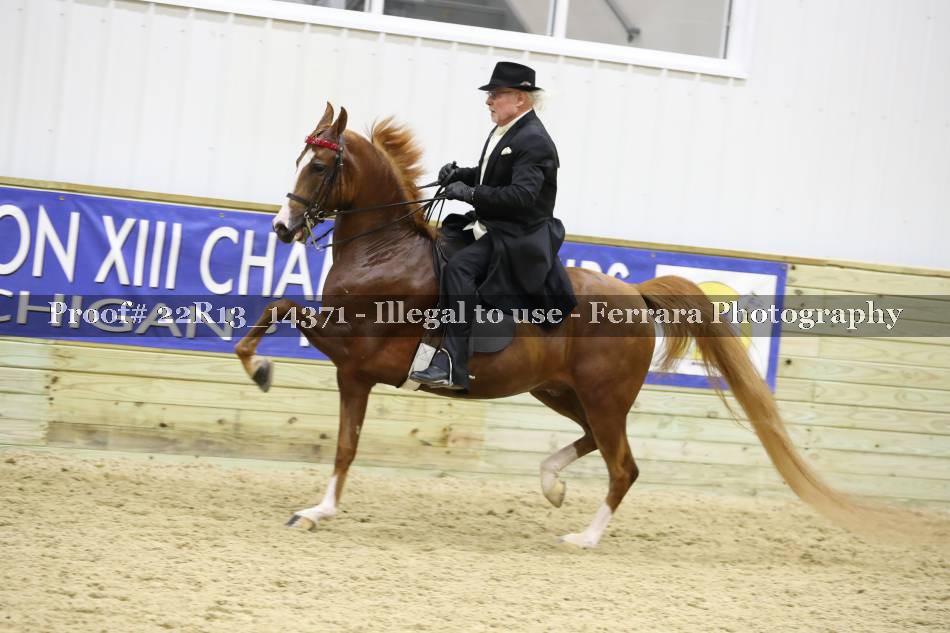 Proof 22R13_14371