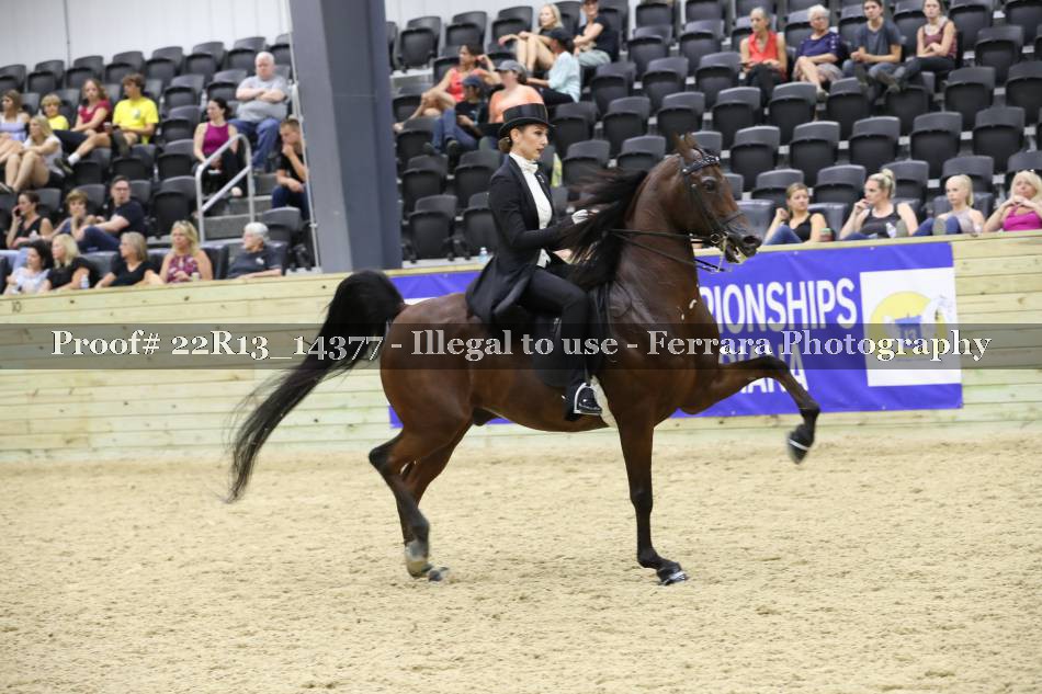 Proof 22R13_14377