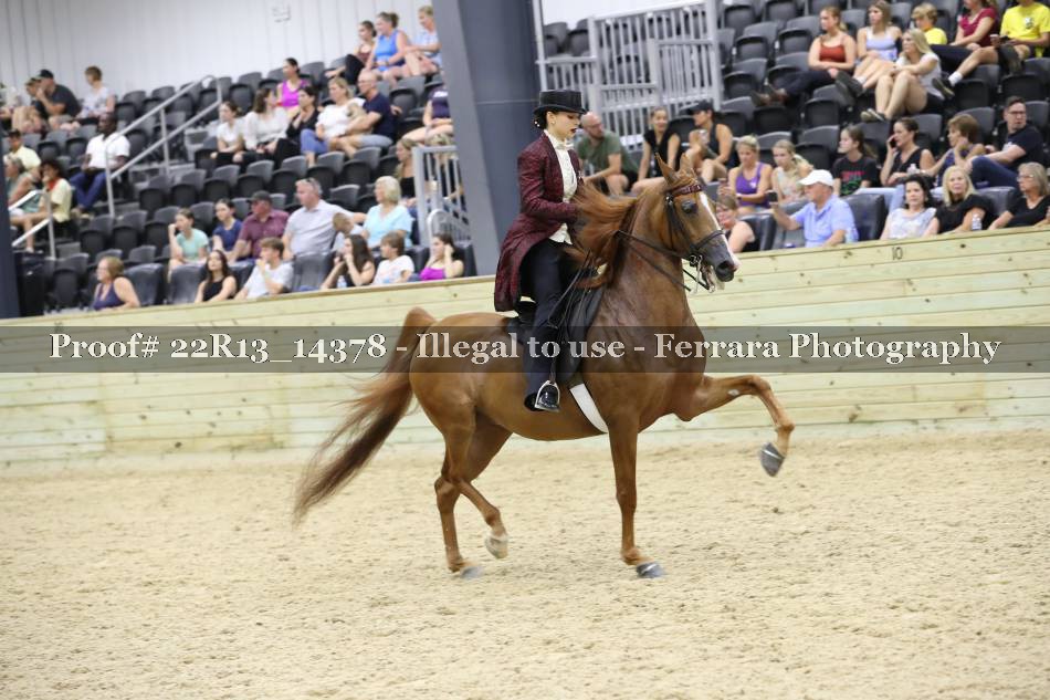 Proof 22R13_14378