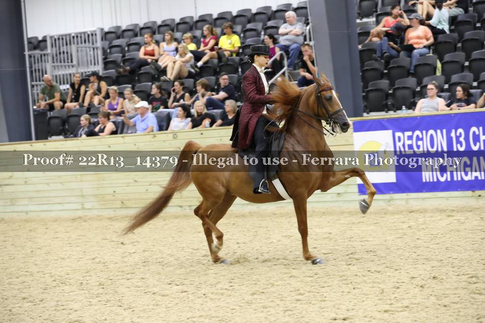 Proof 22R13_14379