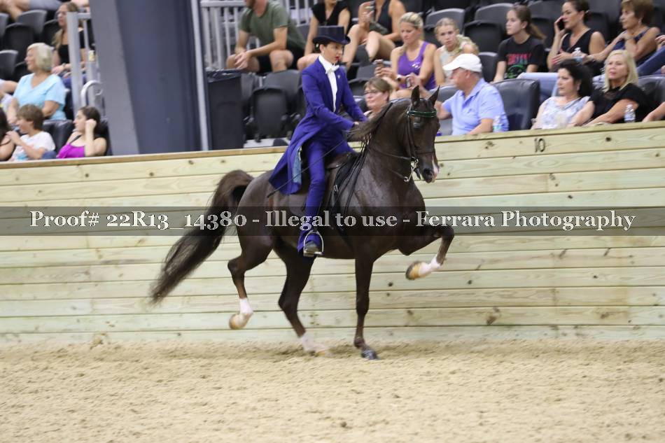 Proof 22R13_14380