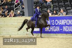 22R13_14381 proof