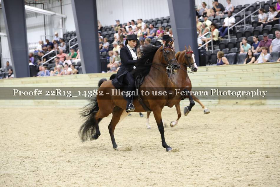 Proof 22R13_14382