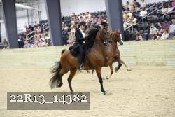 22R13_14382 proof
