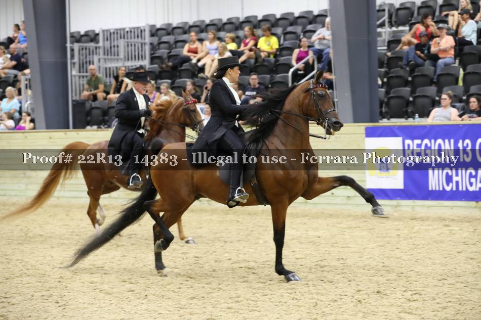 Proof 22R13_14383