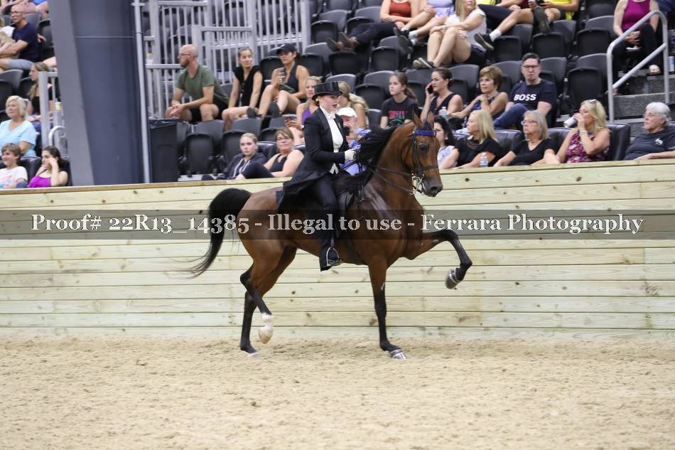Proof 22R13_14385