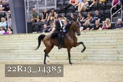 22R13_14385 proof