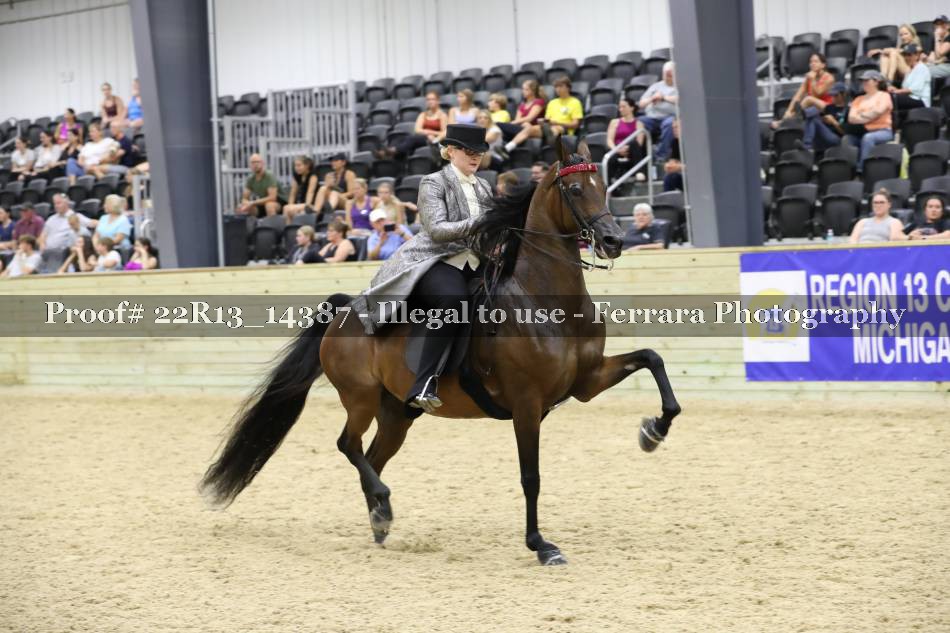 Proof 22R13_14387