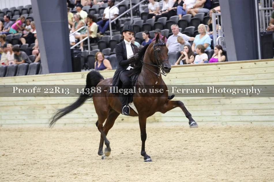 Proof 22R13_14388