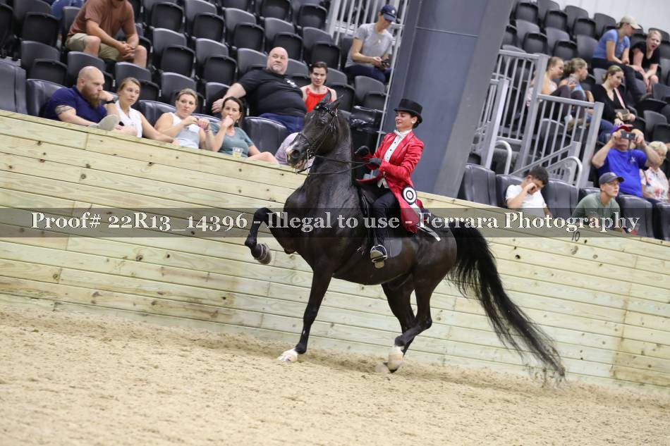 Proof 22R13_14396