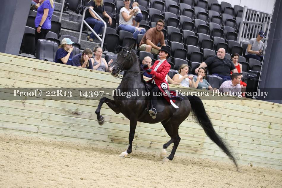 Proof 22R13_14397