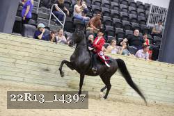 22R13_14397 proof