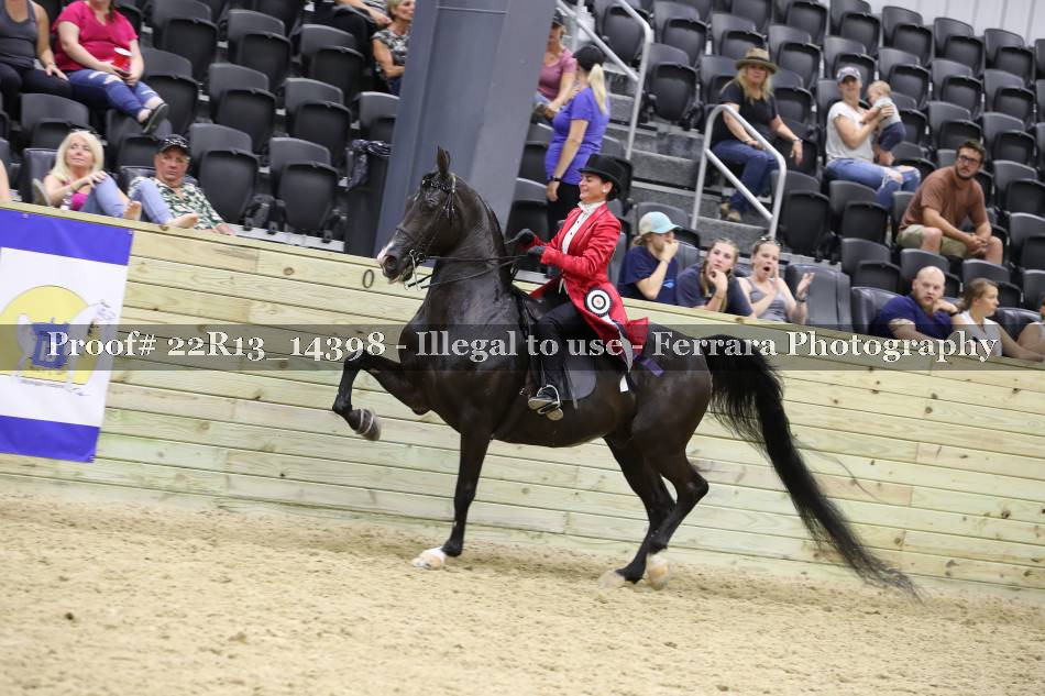 Proof 22R13_14398
