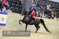 22R13_14398 proof