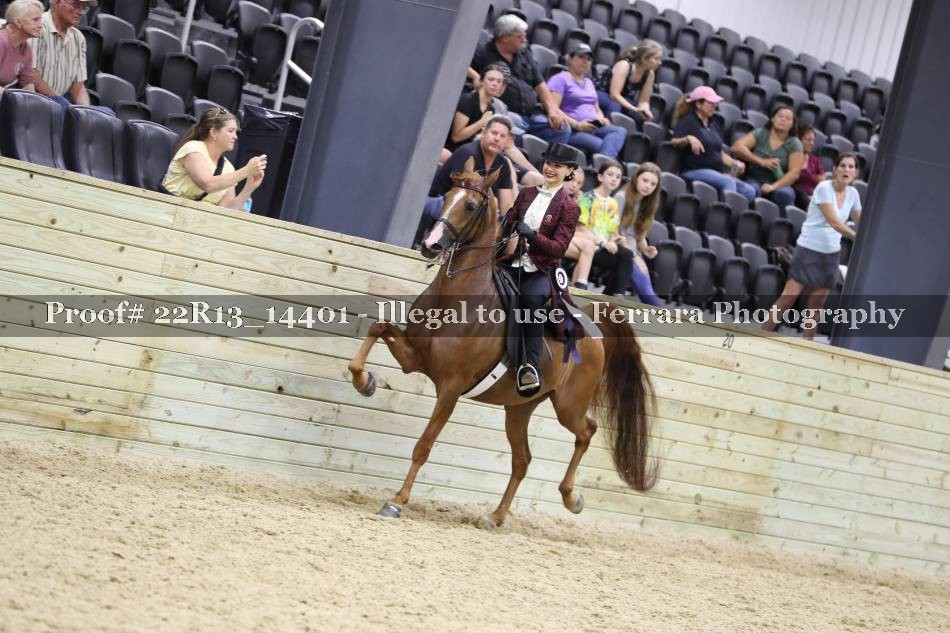 Proof 22R13_14401