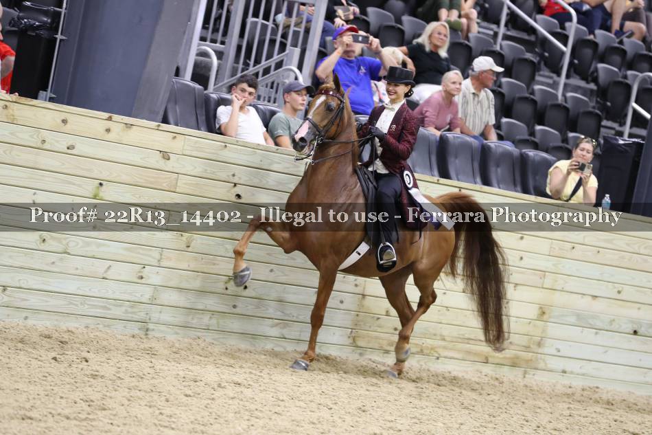 Proof 22R13_14402