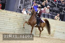 22R13_14402 proof