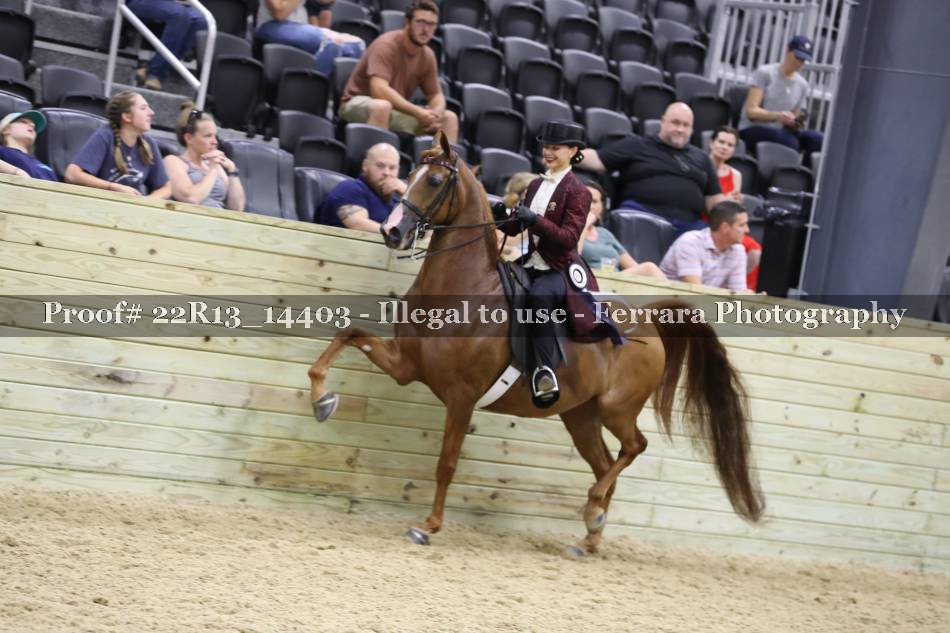 Proof 22R13_14403