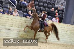 22R13_14403 proof