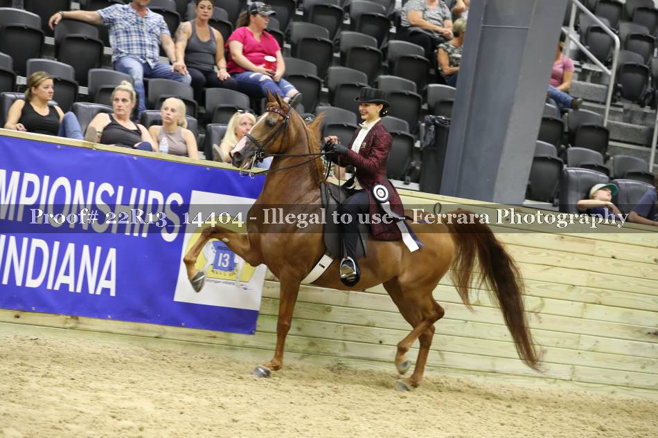 Proof 22R13_14404