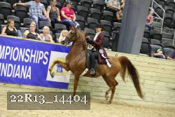 22R13_14404 proof