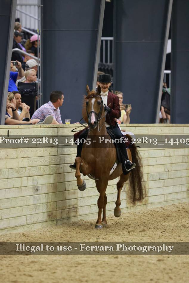 Proof 22R13_14405