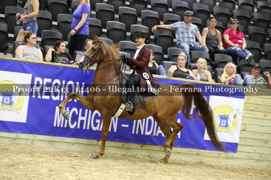 Proof 22R13_14406
