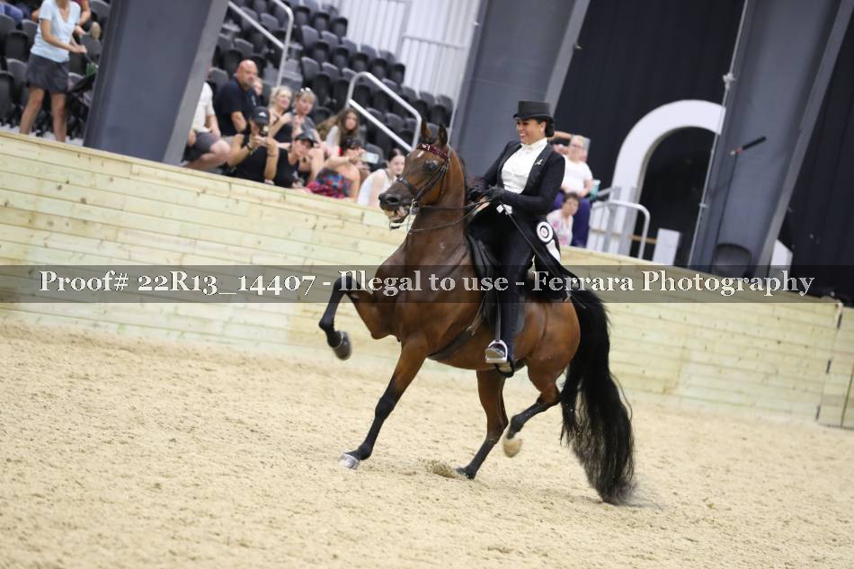 Proof 22R13_14407