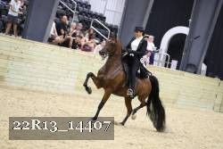 22R13_14407 proof