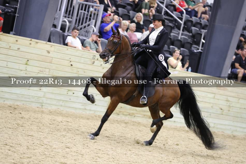 Proof 22R13_14408