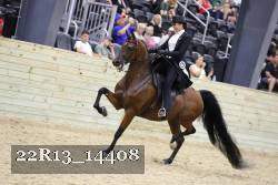 22R13_14408 proof