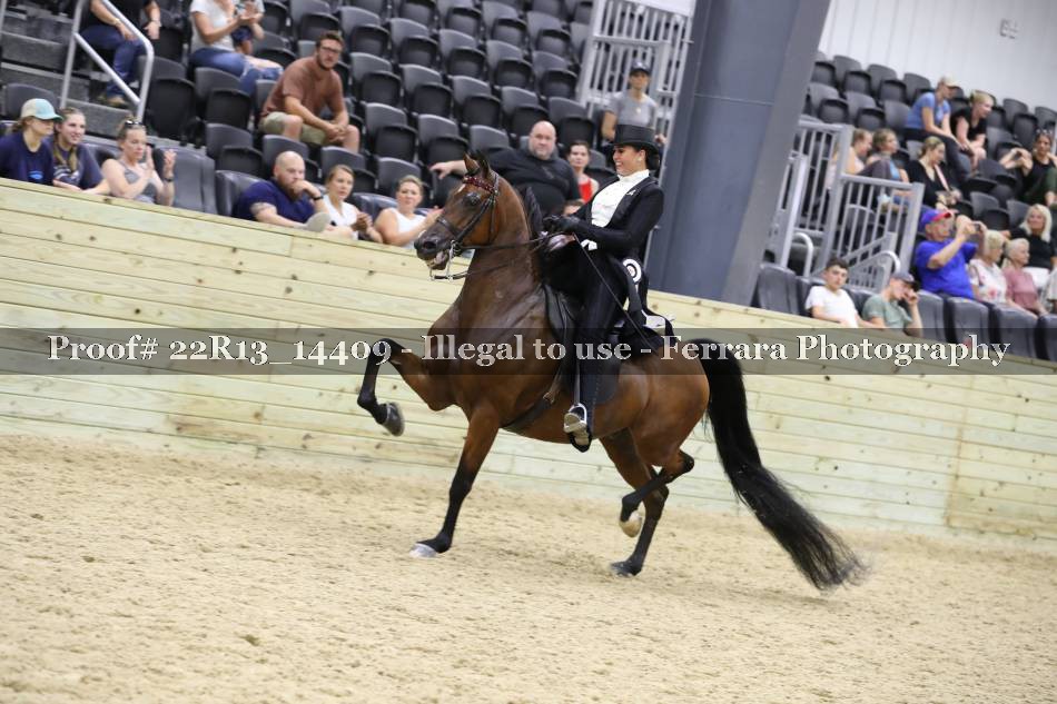 Proof 22R13_14409