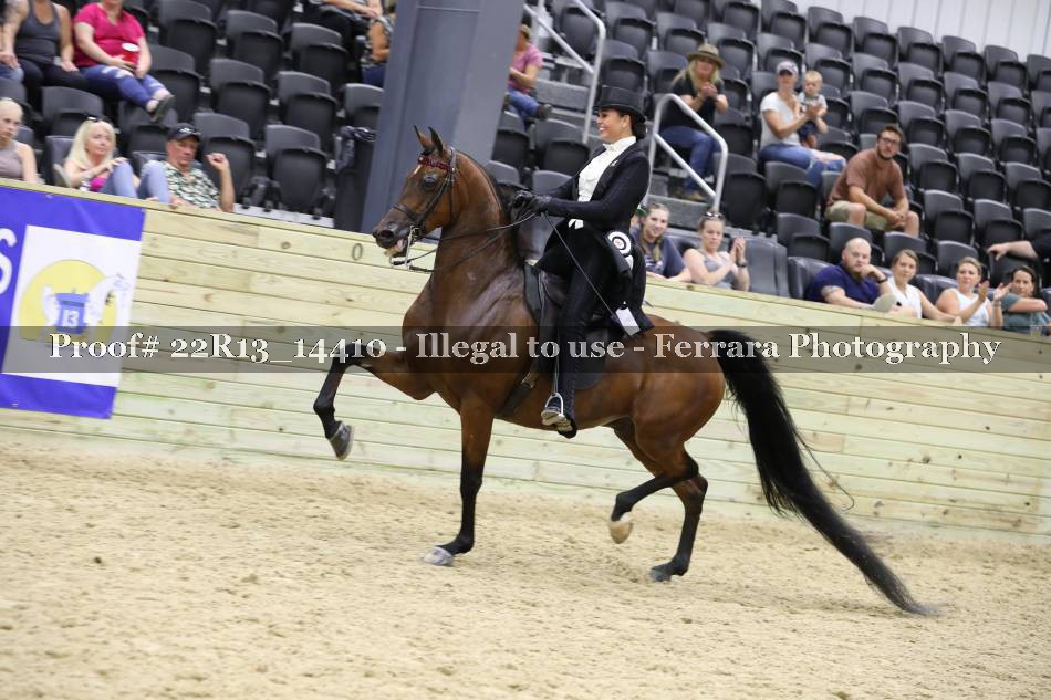 Proof 22R13_14410