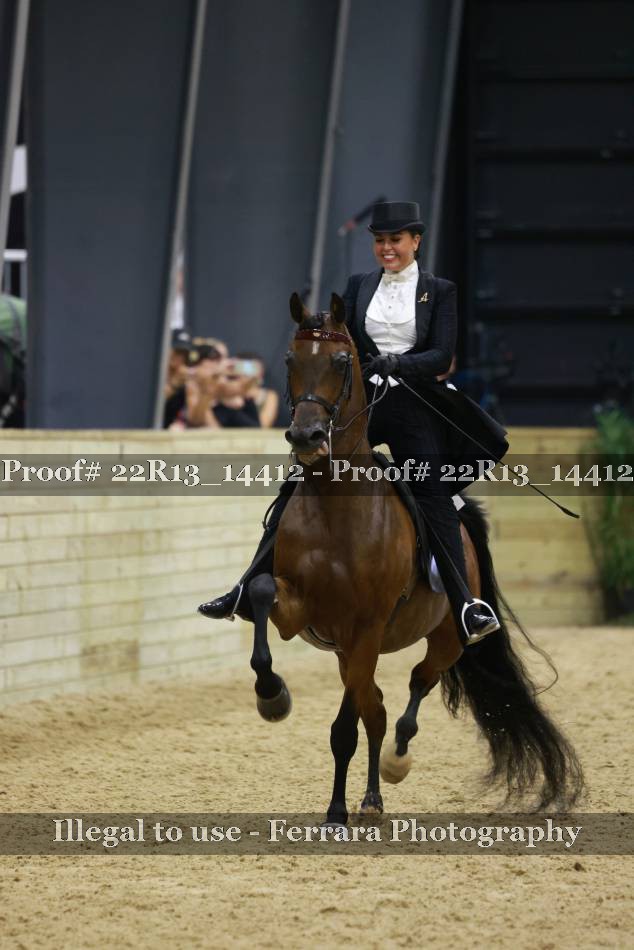Proof 22R13_14412
