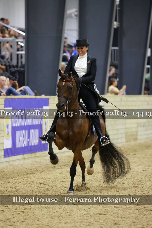 Proof 22R13_14413