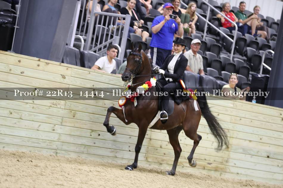 Proof 22R13_14414