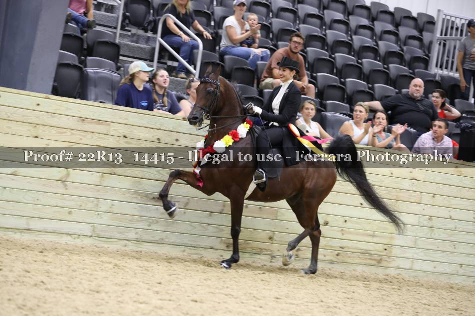 Proof 22R13_14415