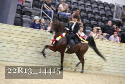 22R13_14415 proof