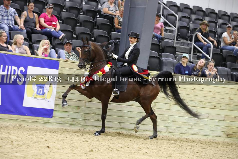 Proof 22R13_14416