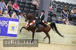 22R13_14416 proof