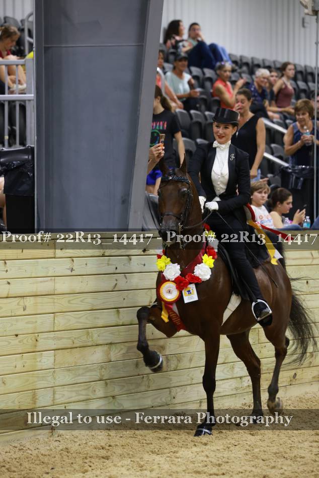 Proof 22R13_14417