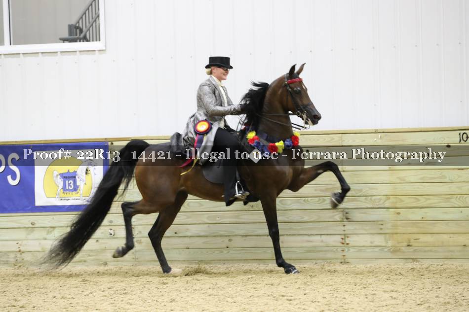 Proof 22R13_14421