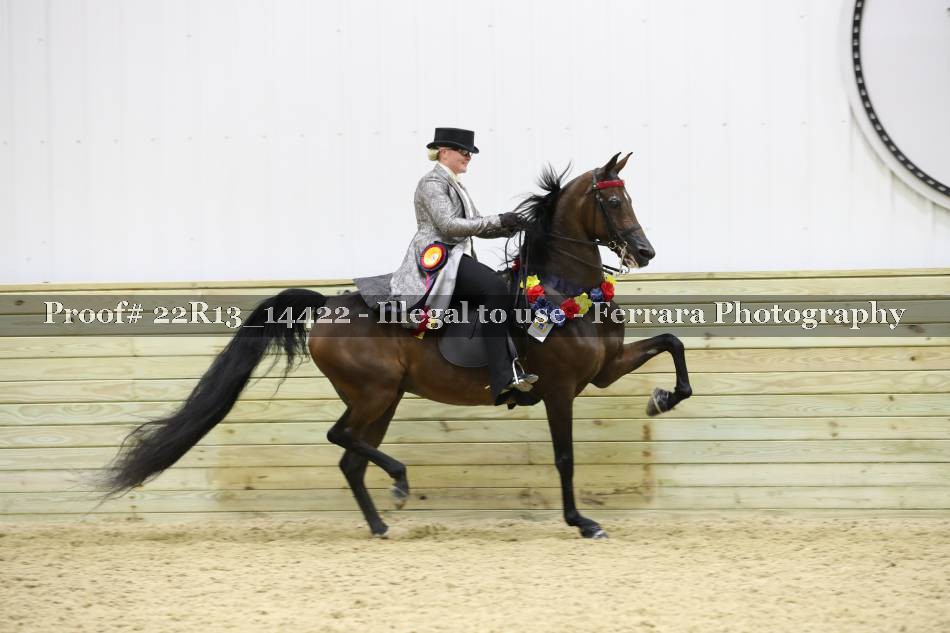Proof 22R13_14422
