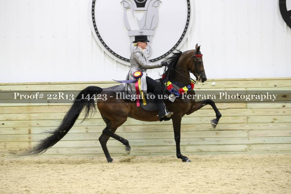 Proof 22R13_14423