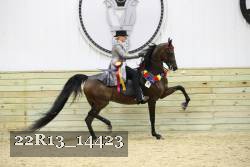 22R13_14423 proof