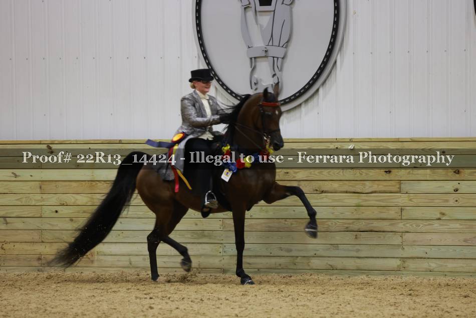 Proof 22R13_14424