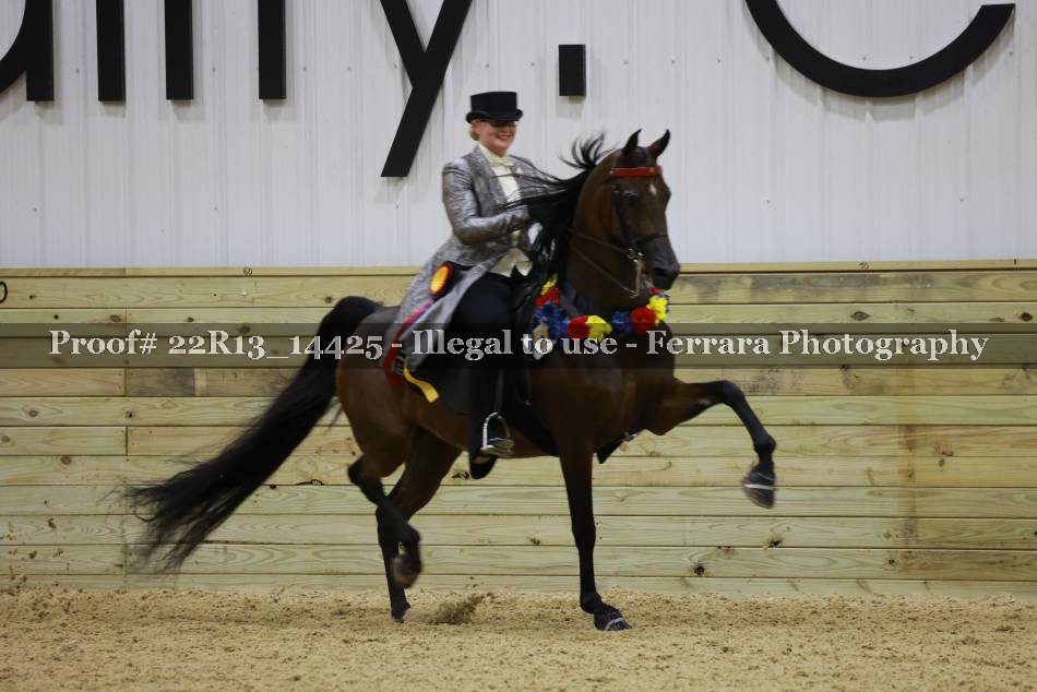 Proof 22R13_14425
