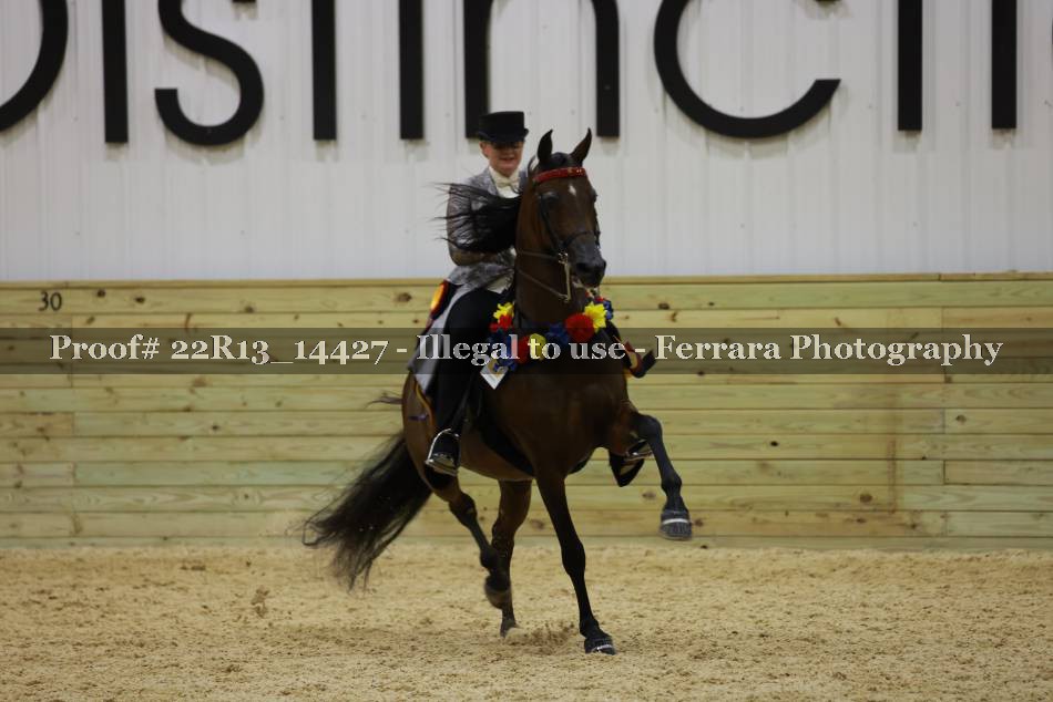 Proof 22R13_14427